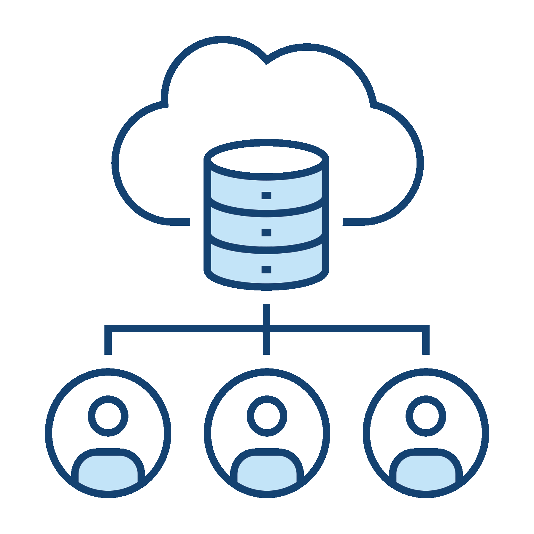 Data Collection Icon